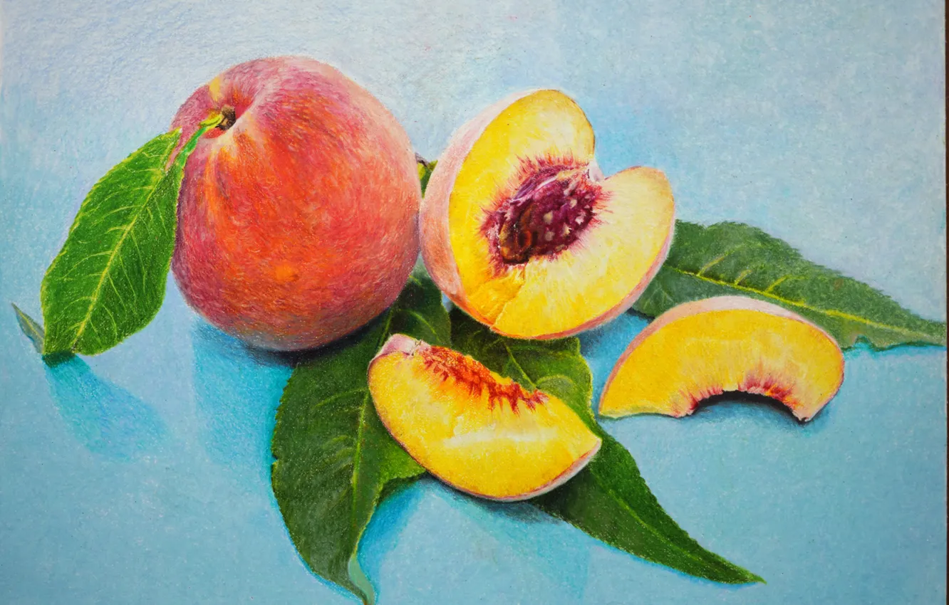 Photo wallpaper leaves, figure, picture, bone, fruit, painting, peaches, blue background