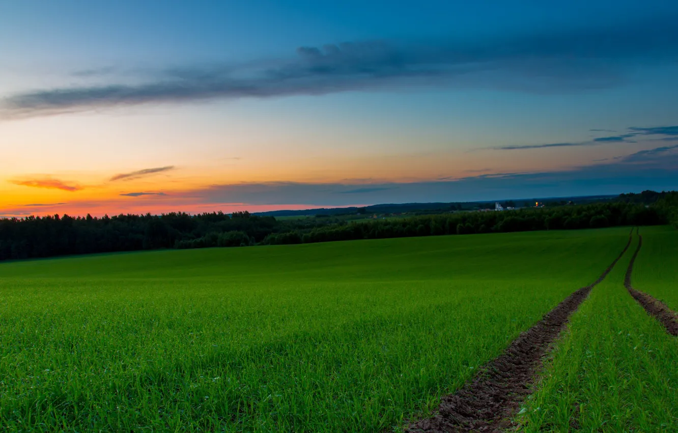Photo wallpaper field, sunset, traces