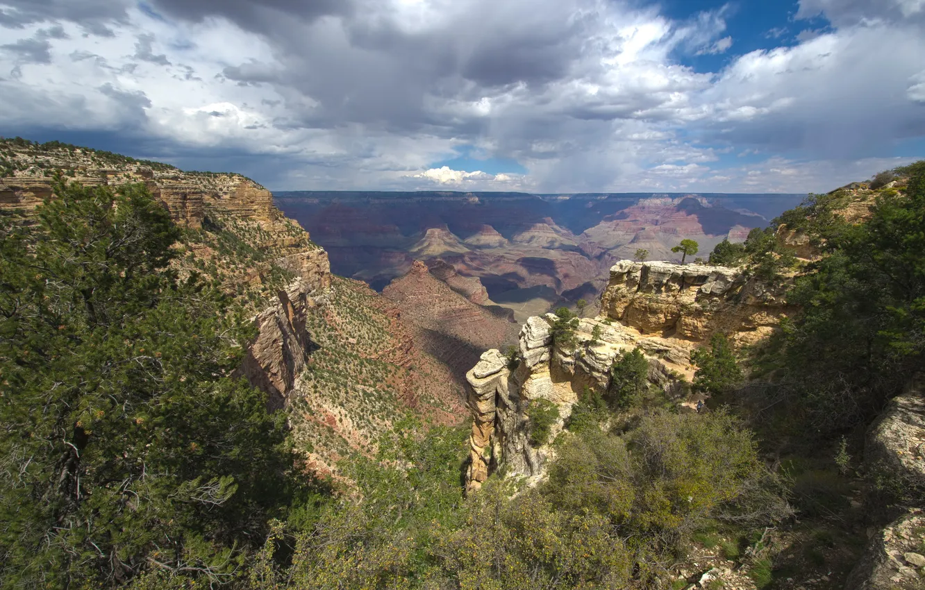 Photo wallpaper landscape, mountains, nature, horizon, USA, Nevada