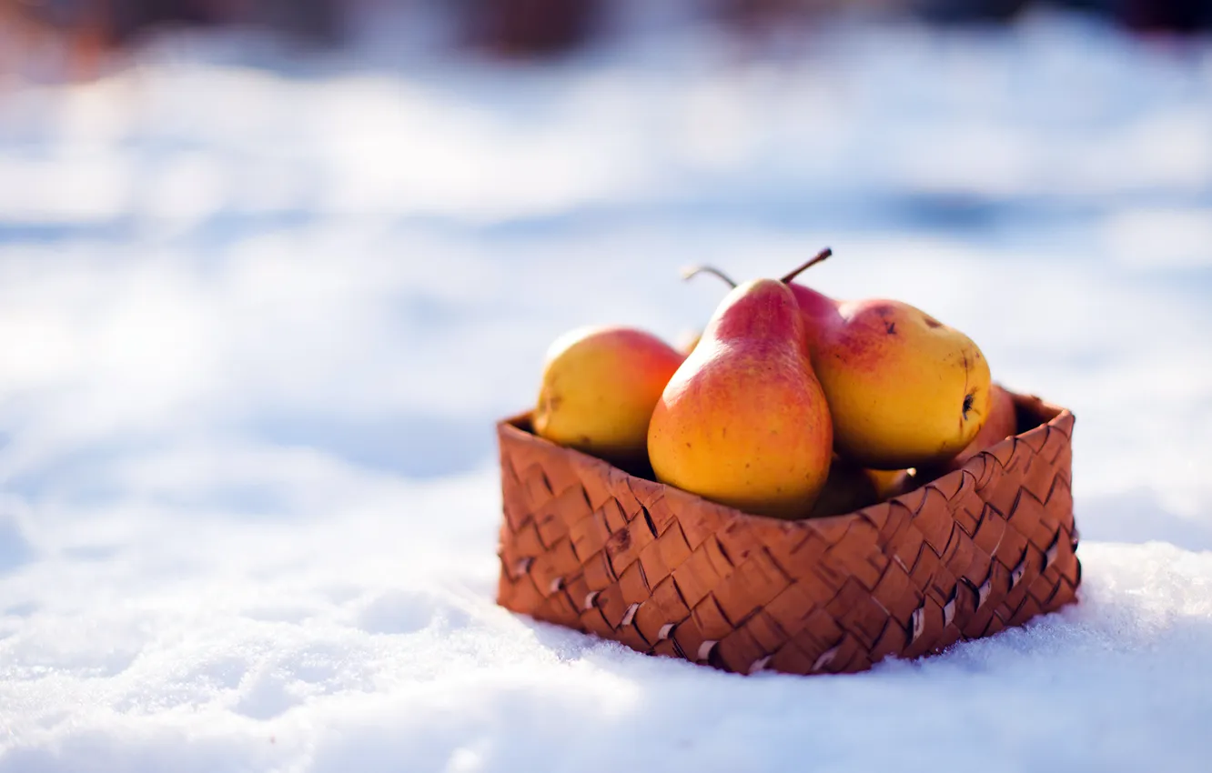 Photo wallpaper winter, snow, fruit, basket, pear