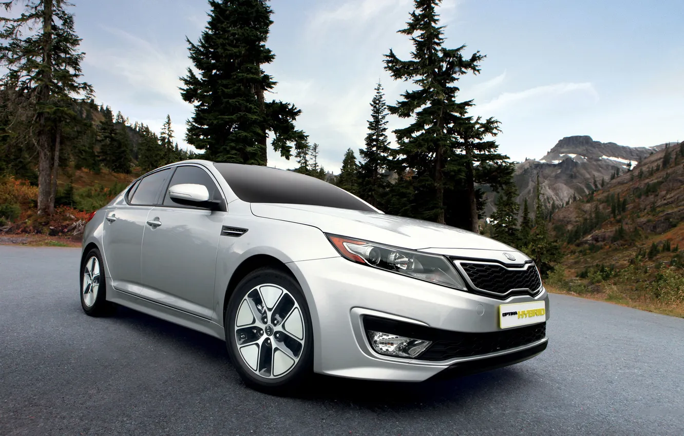 Photo wallpaper machine, forest, trees, photo, cars, auto walls, Kia, Kia