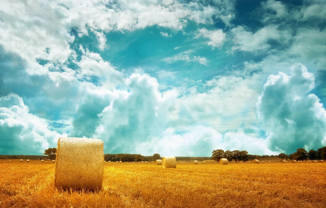 Photo wallpaper wheat, field, the sky, clouds, landscape, nature, stack, horizon