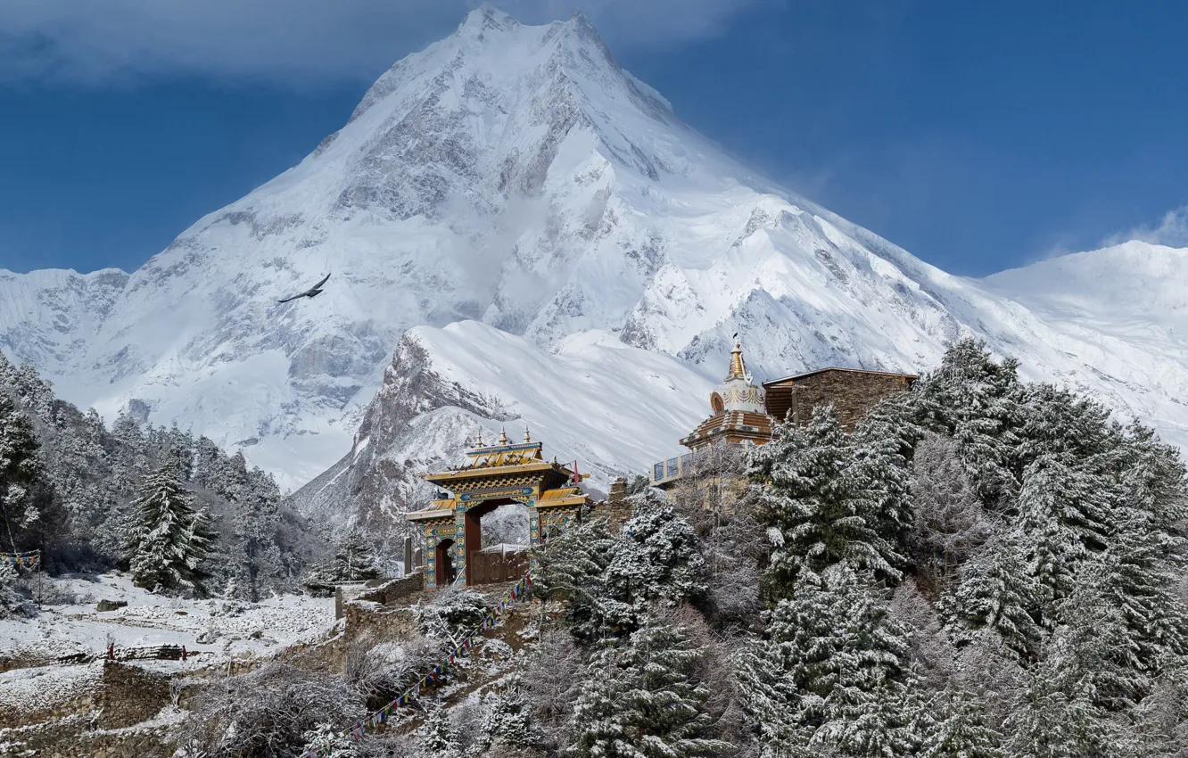 Photo wallpaper winter, forest, the sky, snow, bird, mountain, Tibet, temple