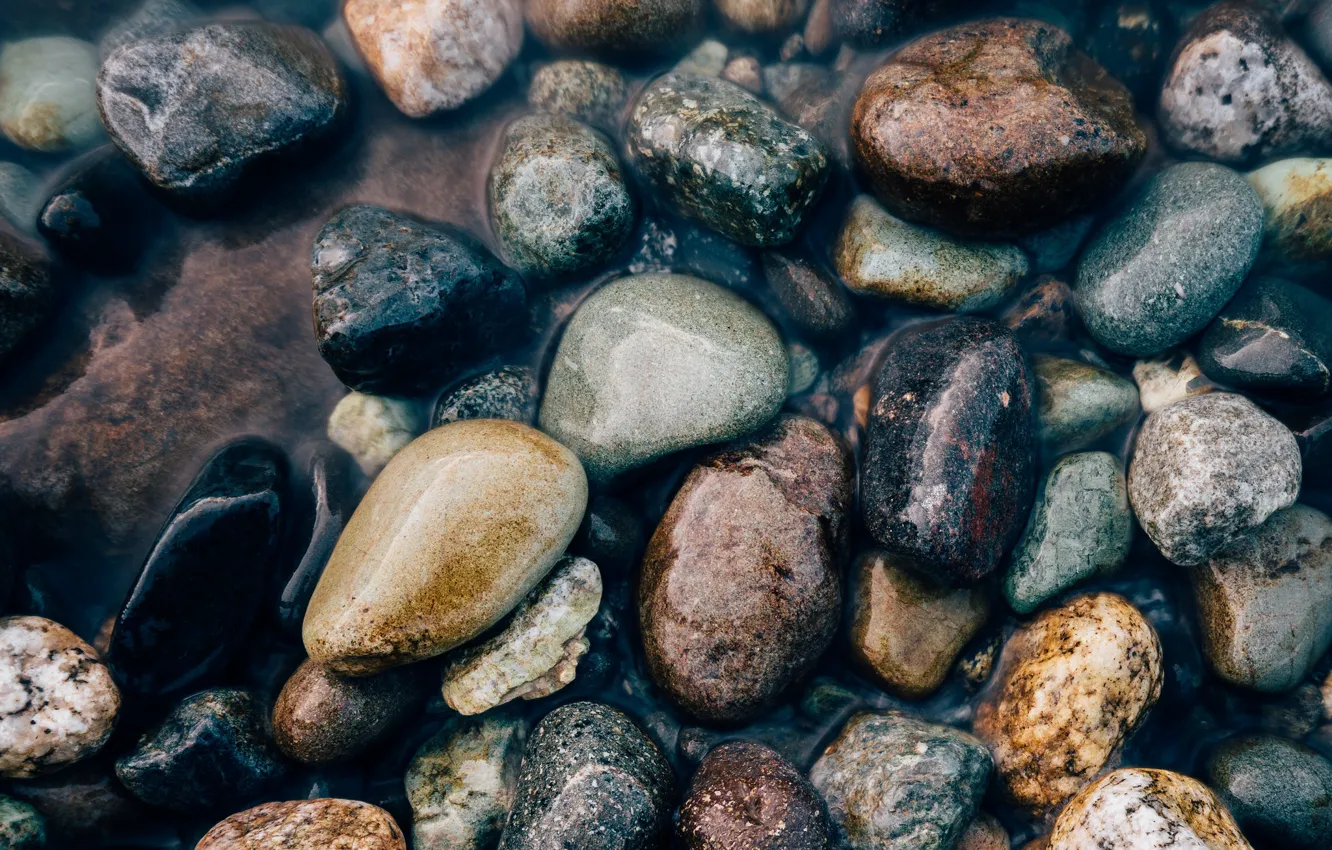 Photo wallpaper water, pebbles, stones
