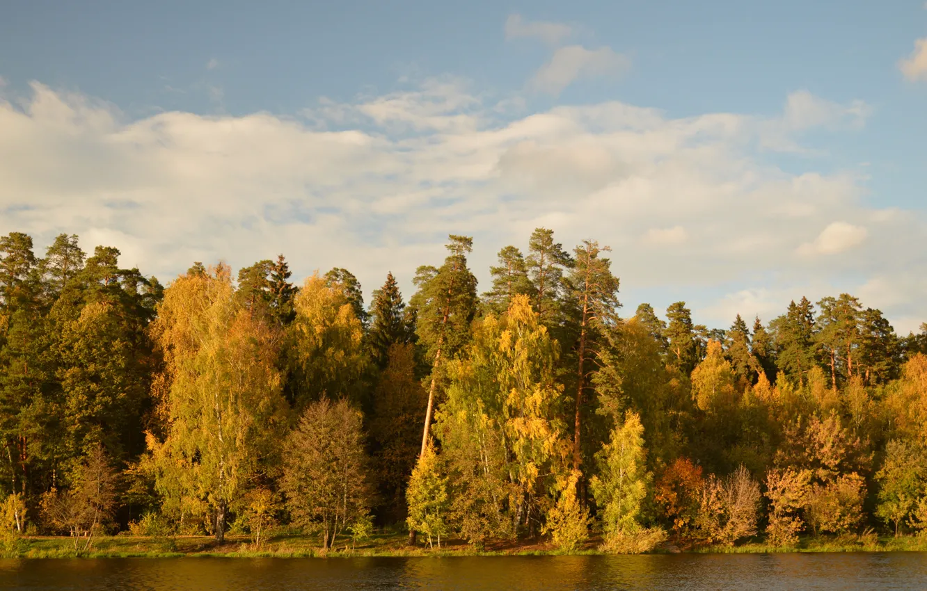 Photo wallpaper autumn, forest, trees, landscape, lake, colors, forest, trees