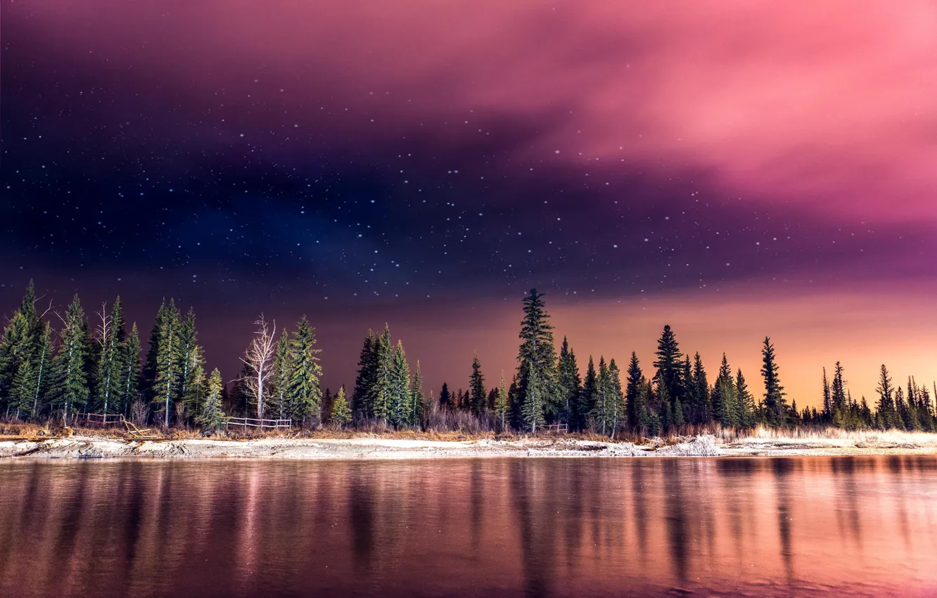 Photo wallpaper forest, the sky, stars, light, night, nature, river