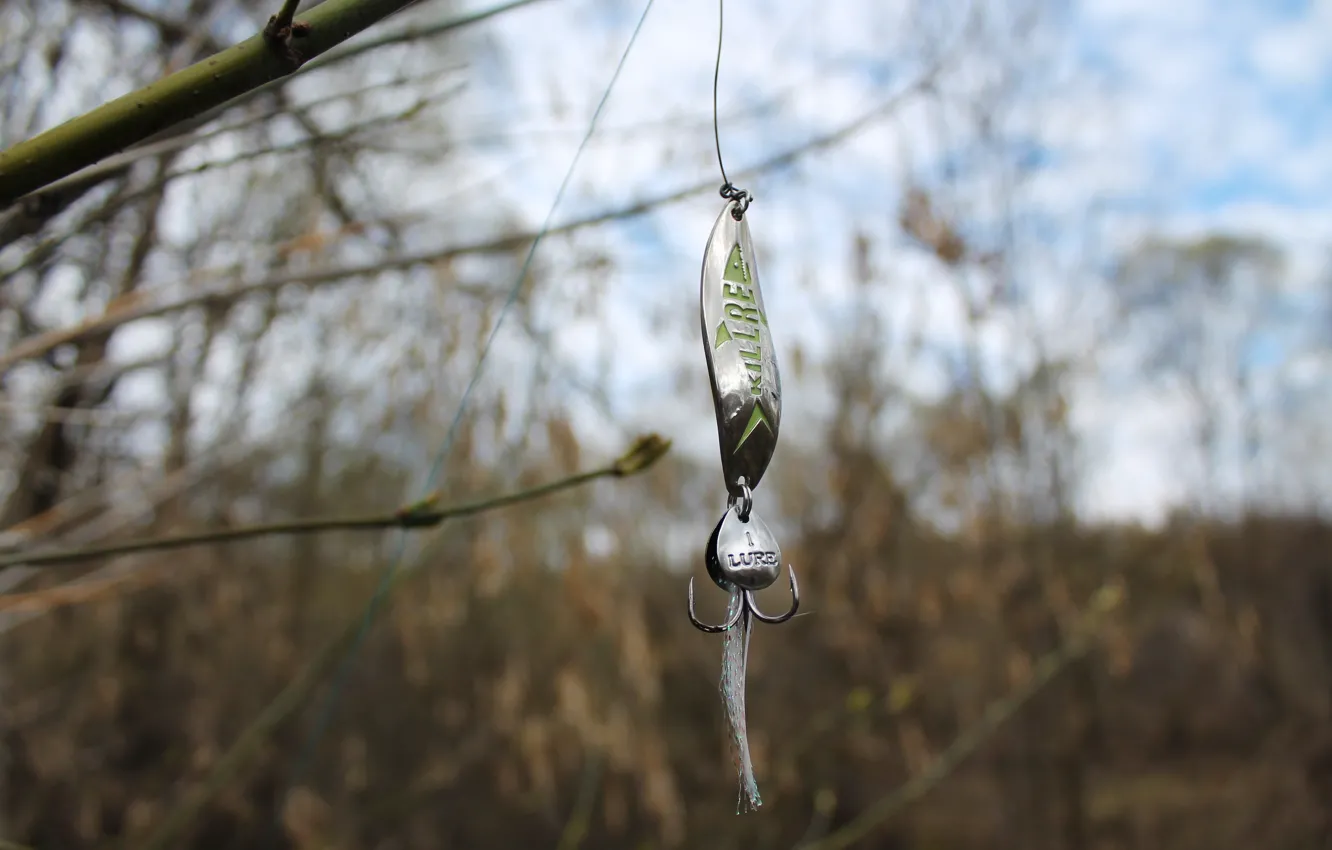 Photo wallpaper fishing, spring, baubles, 2016
