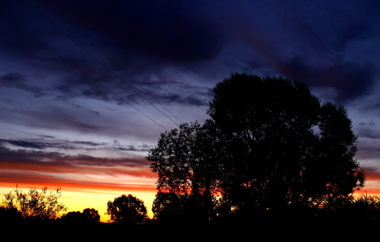 Photo wallpaper the sky, bright colors, trees, dawn, silhouette