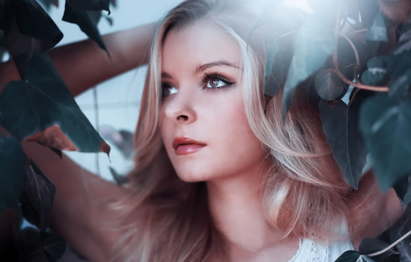 Photo wallpaper look, girl, arrows, blonde