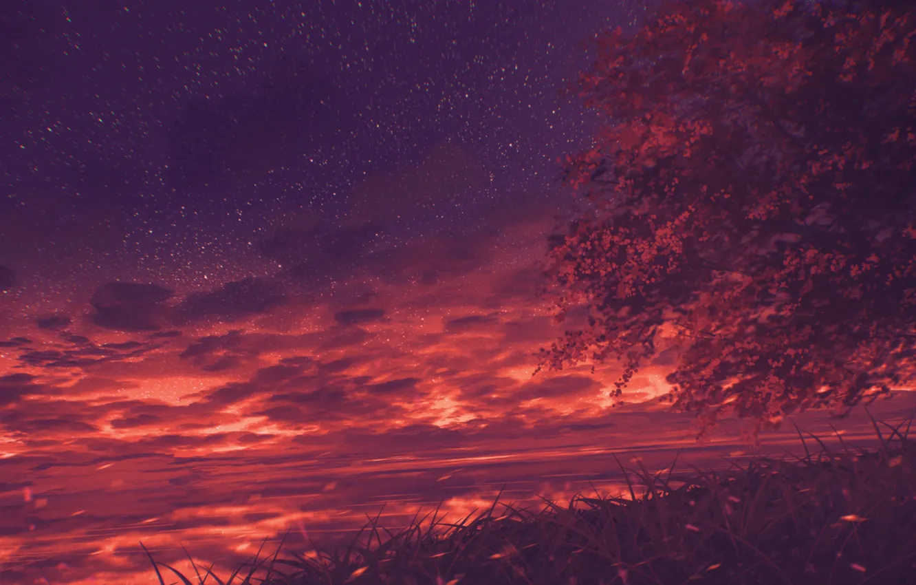 Photo wallpaper trees, nature, by Miloecute, water, the sky, sunset