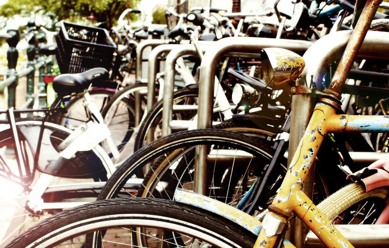 Photo wallpaper Amsterdam, wheel, spokes, bikes