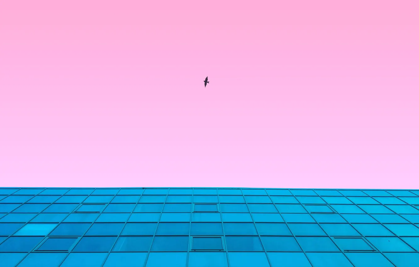 Photo wallpaper the sky, flight, style, background, bird, view, building, pink