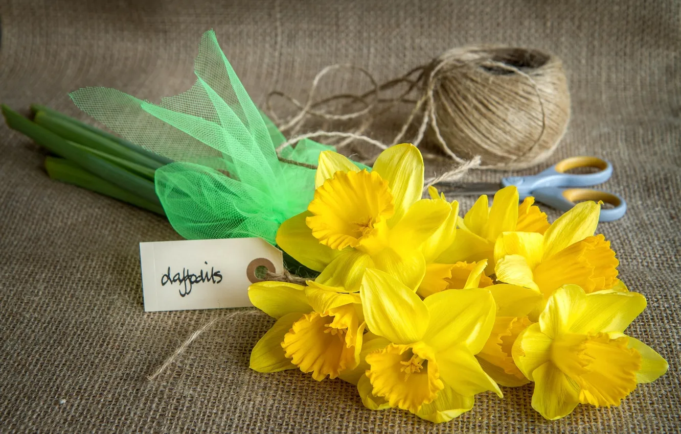 Photo wallpaper yellow, thread, burlap, scissors, daffodils