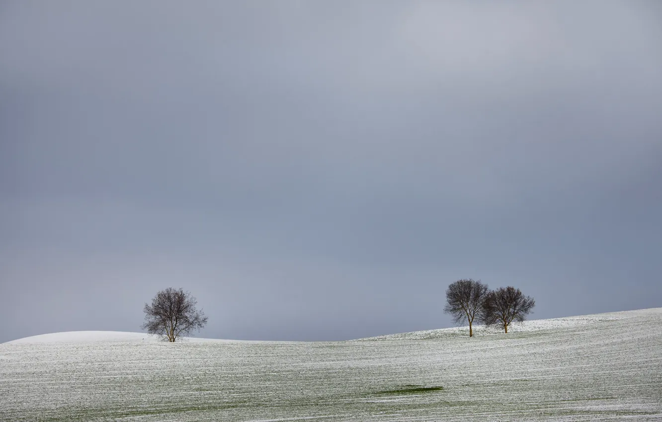 Photo wallpaper field, the sky, landscape