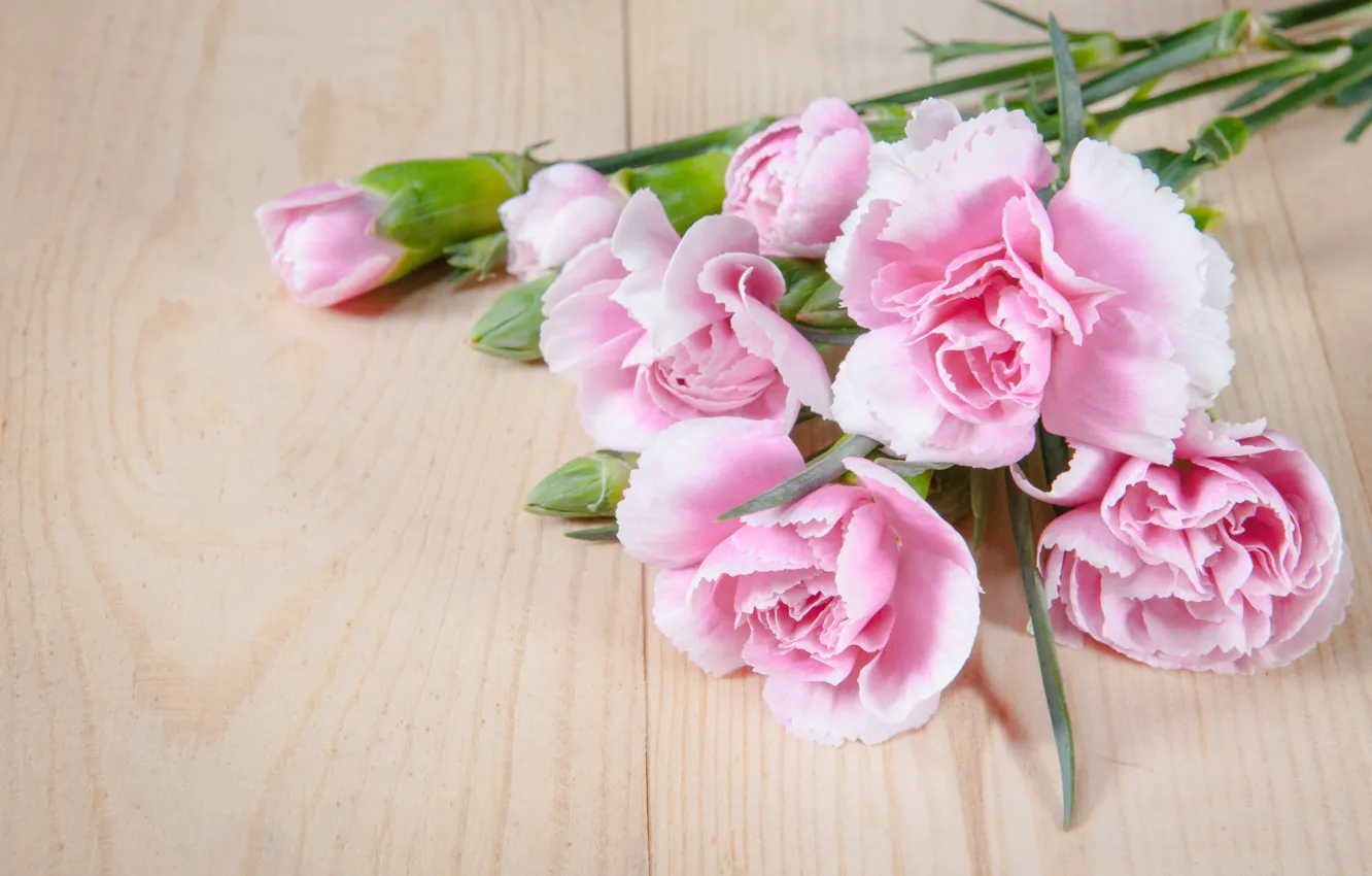 Photo wallpaper flowers, bouquet, petals, pink, wood, pink, flowers, beautiful