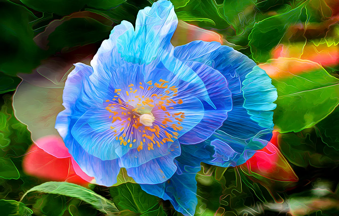 Photo wallpaper line, flowers, abstraction, paint, Mac, petals