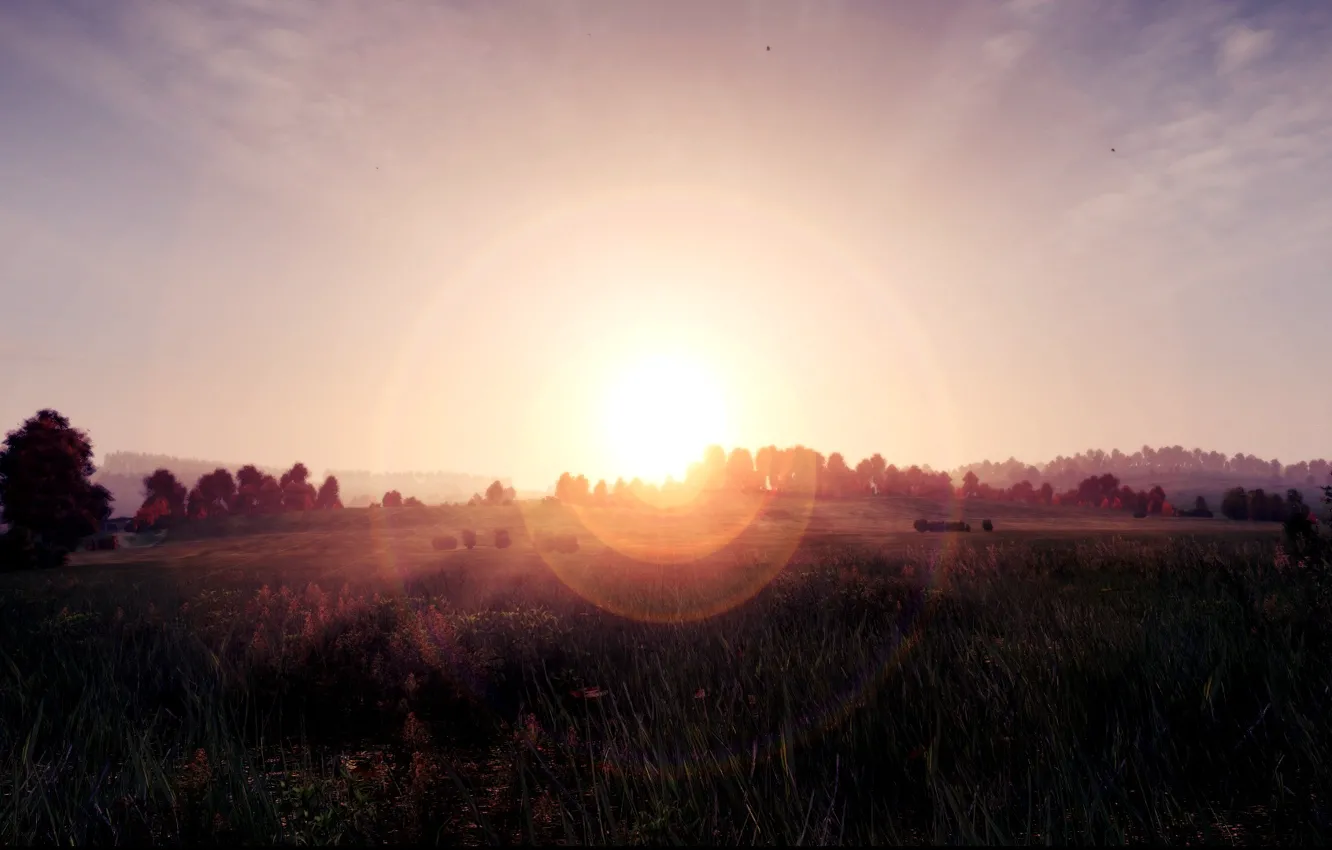 Photo wallpaper field, grass, the sun, rays, halo, DayZ, Dayz Standalone