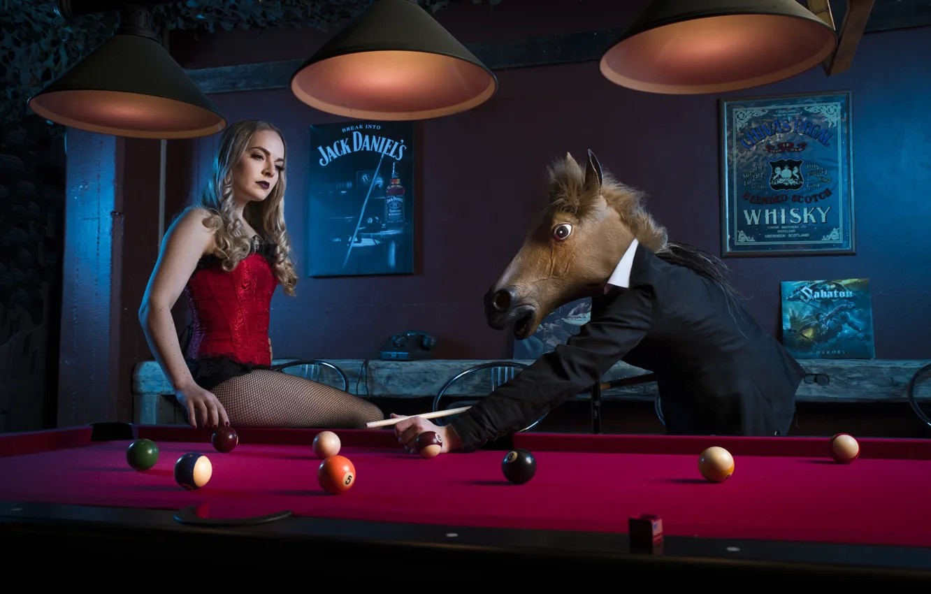 Photo wallpaper girl, horse, Billiards