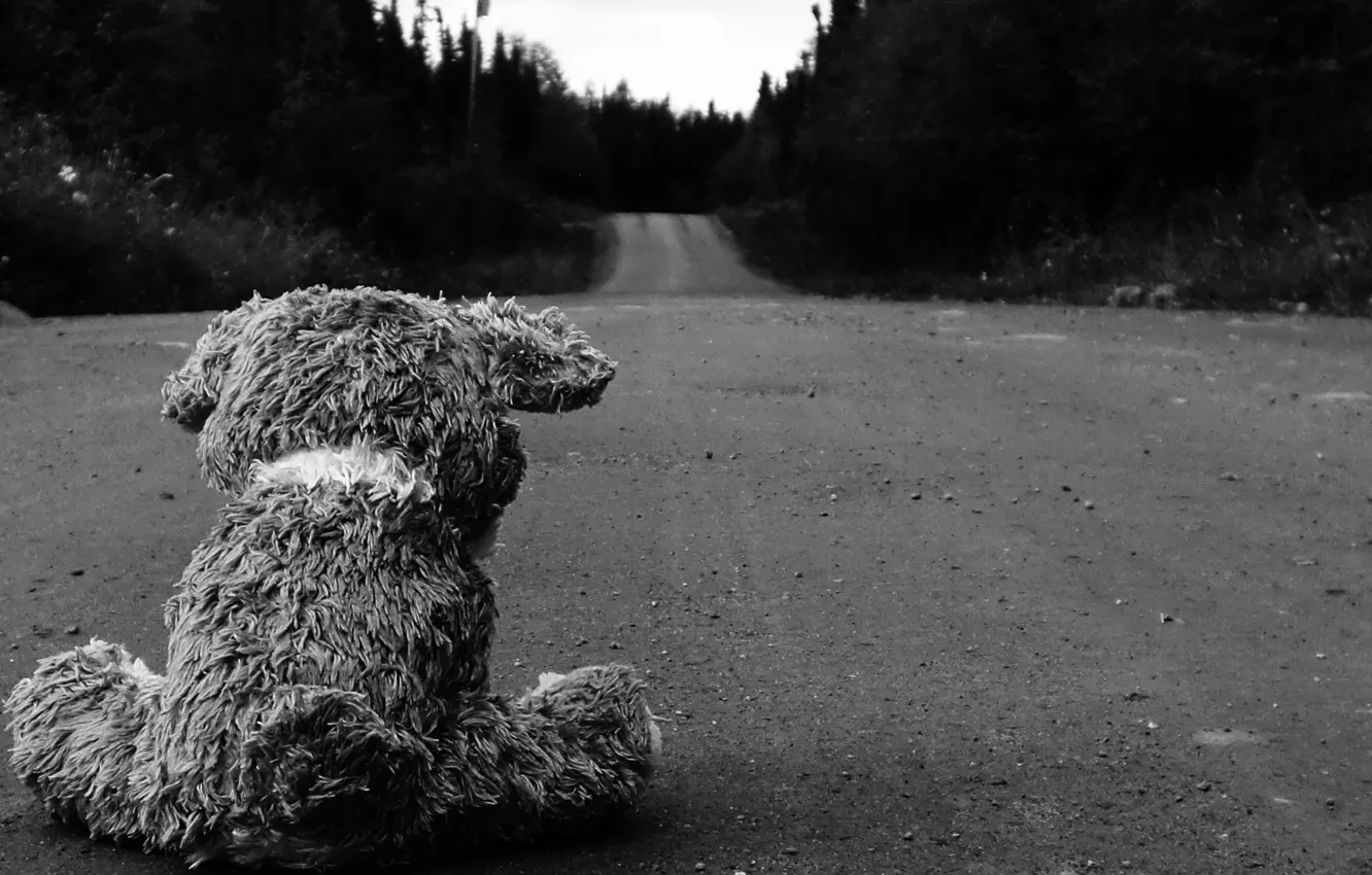 Photo wallpaper road, asphalt, Wallpaper, bear, black and white, plush, picture, different