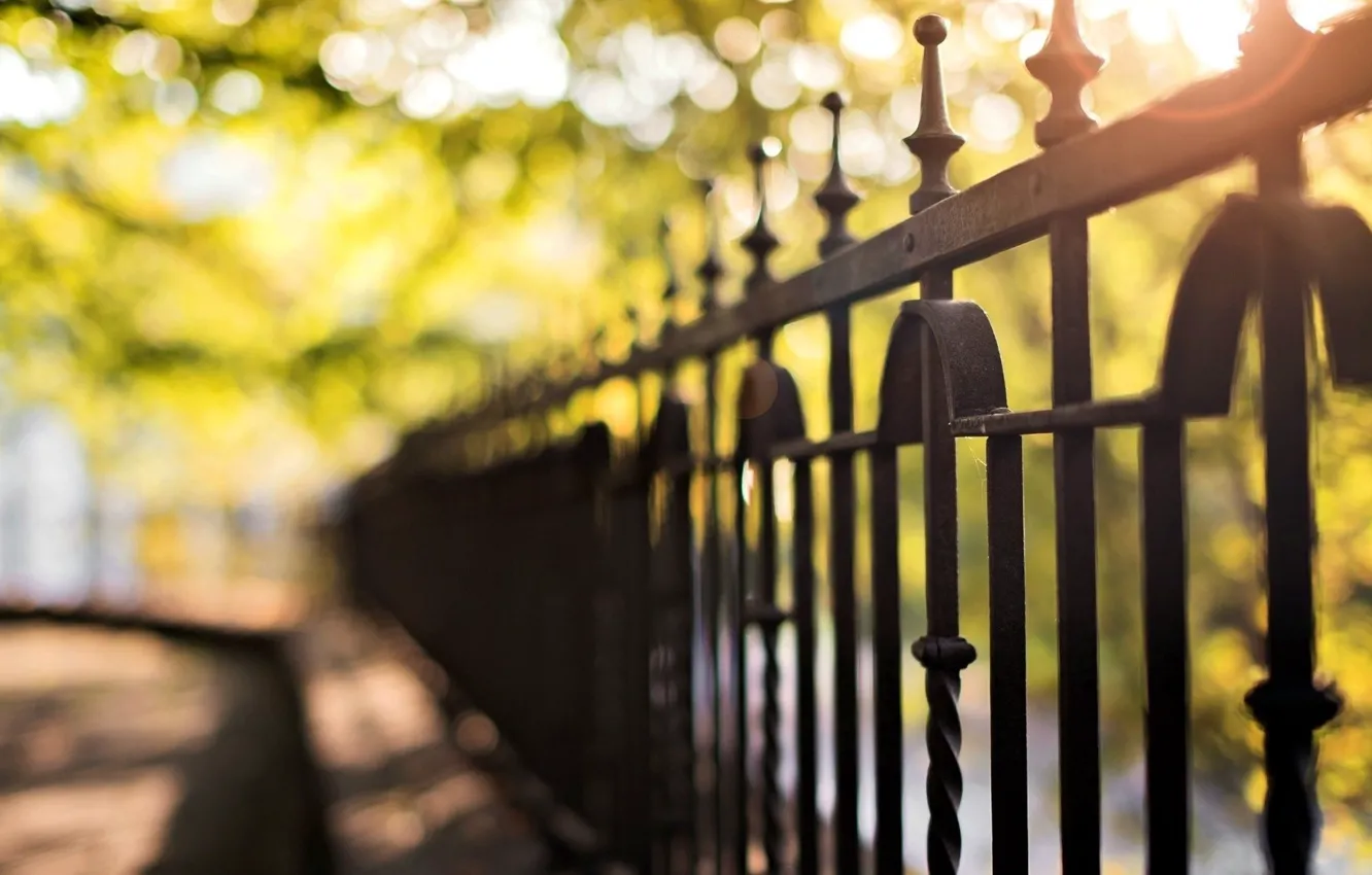 Photo wallpaper summer, trees, the city, the fence, blur, macro, fence, blur