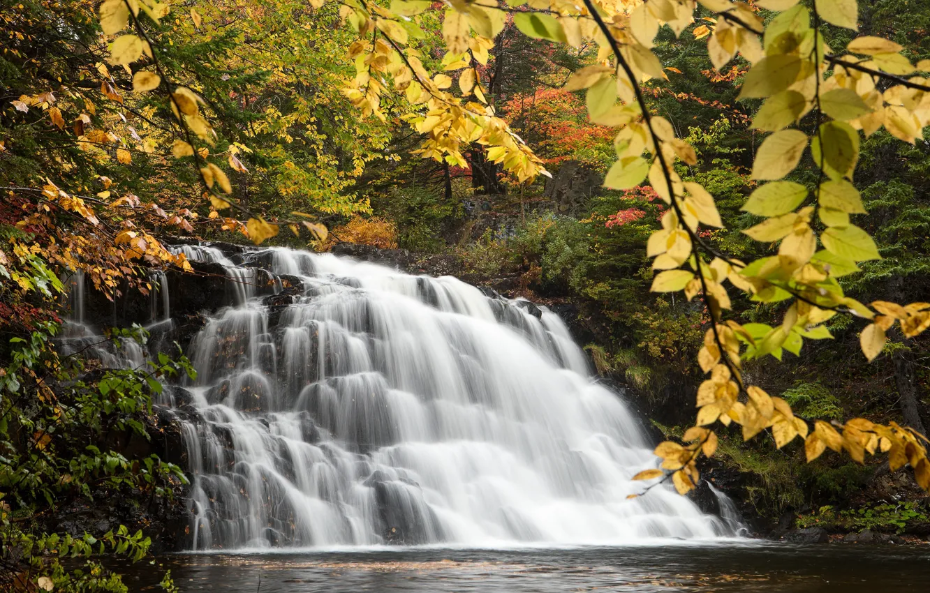 Photo wallpaper autumn, forest, branches, waterfall, Canada, Canada, cascade, Nova Scotia