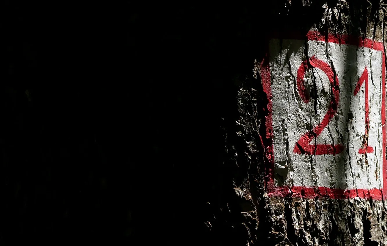 Photo wallpaper background, sign, tsyfs