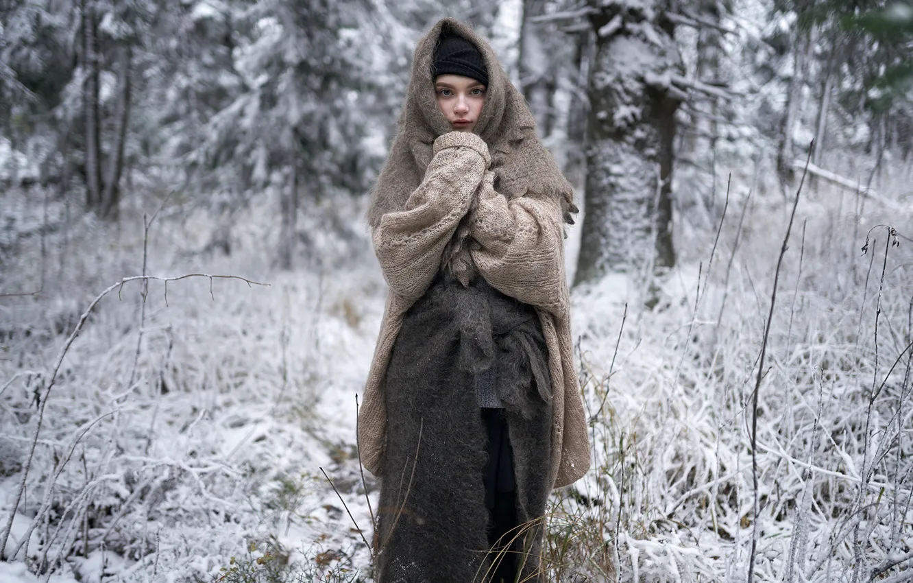 Photo wallpaper cold, forest, girl, snow, shawl, Alexey Sinyavsky