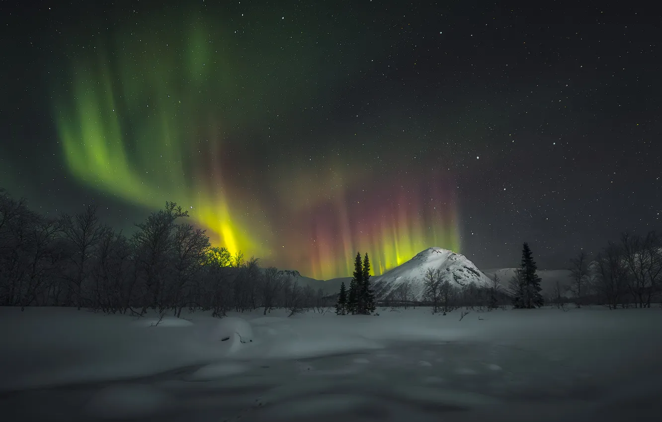 Photo wallpaper the sky, stars, Northern lights, Anton Shvain