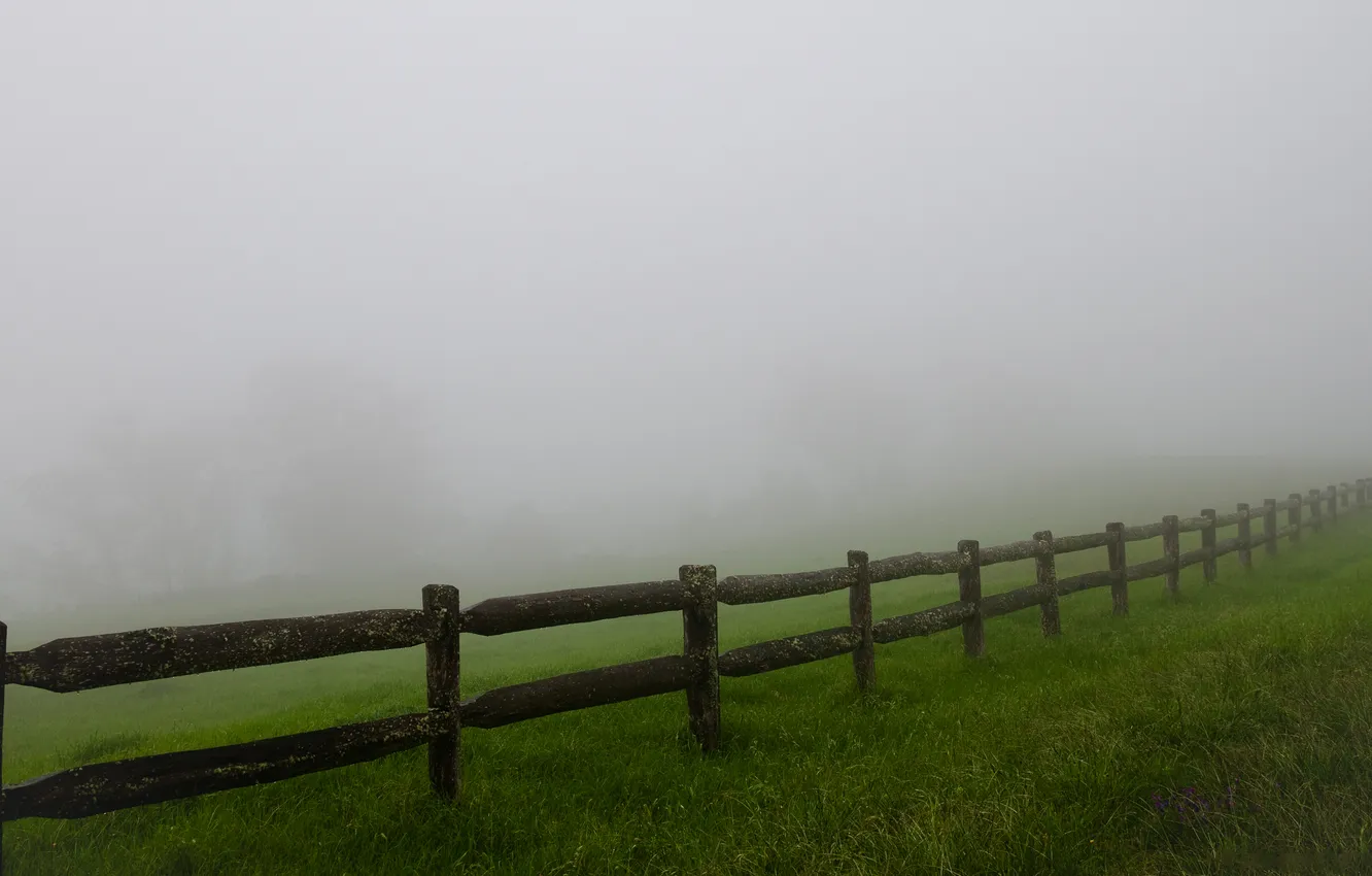 Photo wallpaper grass, trees, landscape, nature, fog, photo, Wallpaper, the fence