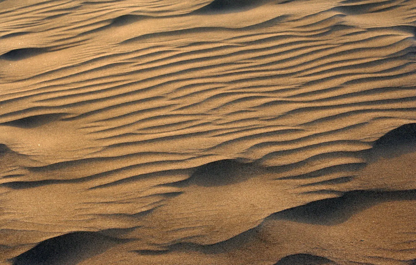 Photo wallpaper dust, sand, heat, warm, Desert