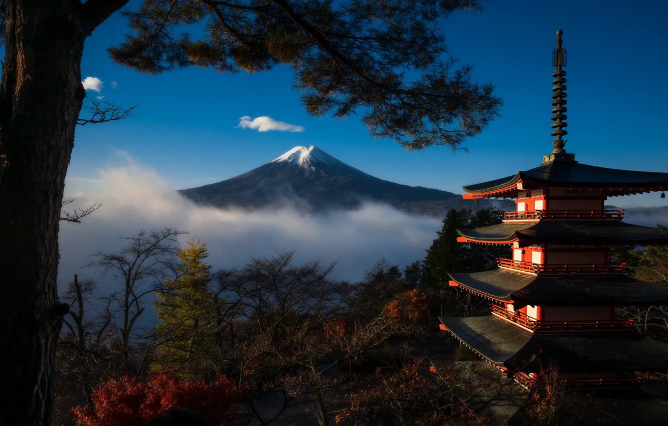 Photo wallpaper trees, Japan, pagoda, Mount Fuji, Honshu
