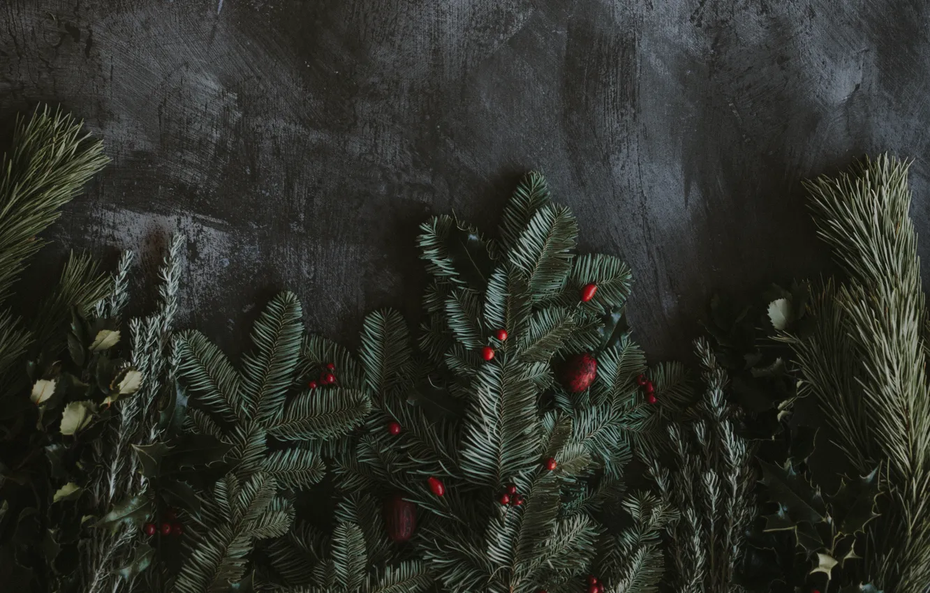 Photo wallpaper branches, berries, holiday, spruce, New year