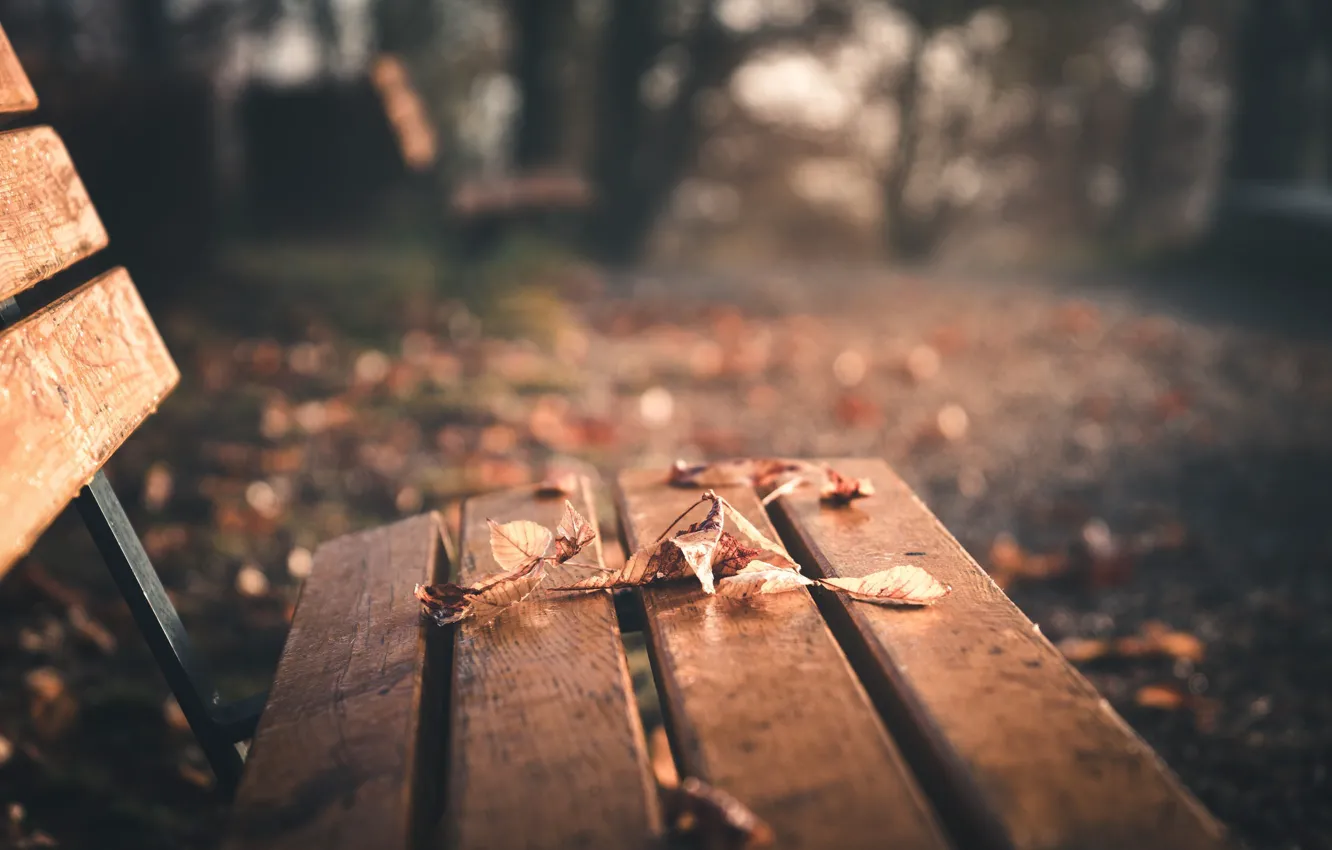 Photo wallpaper LEAVES, AUTUMN, BENCH