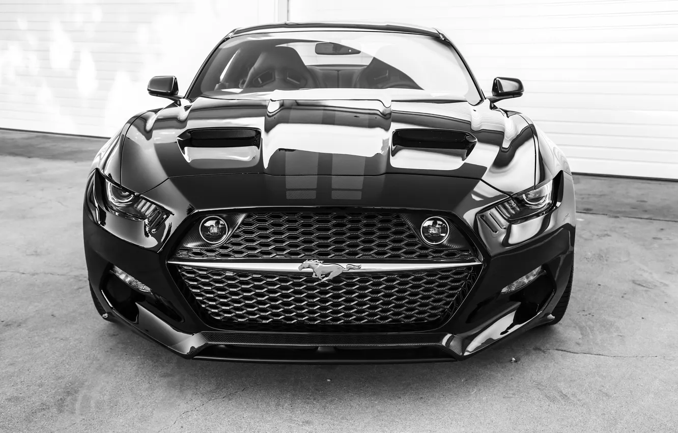 Photo wallpaper Mustang, Ford, Mustang, Ford, Rocket, 2015, Galpin, Auto Sports
