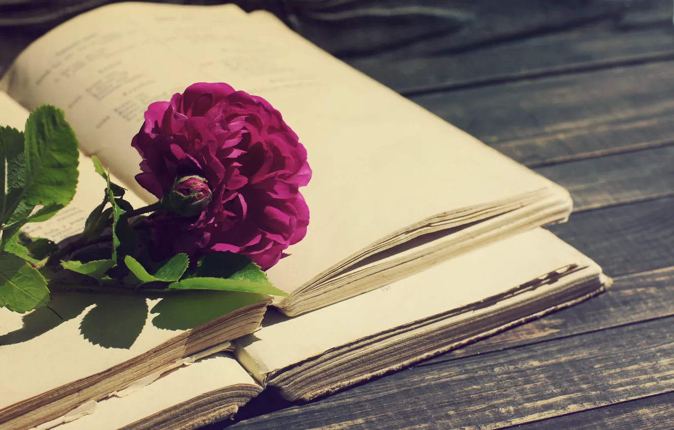 Photo wallpaper rose, vintage, wood, flowers, beautiful, purple, book