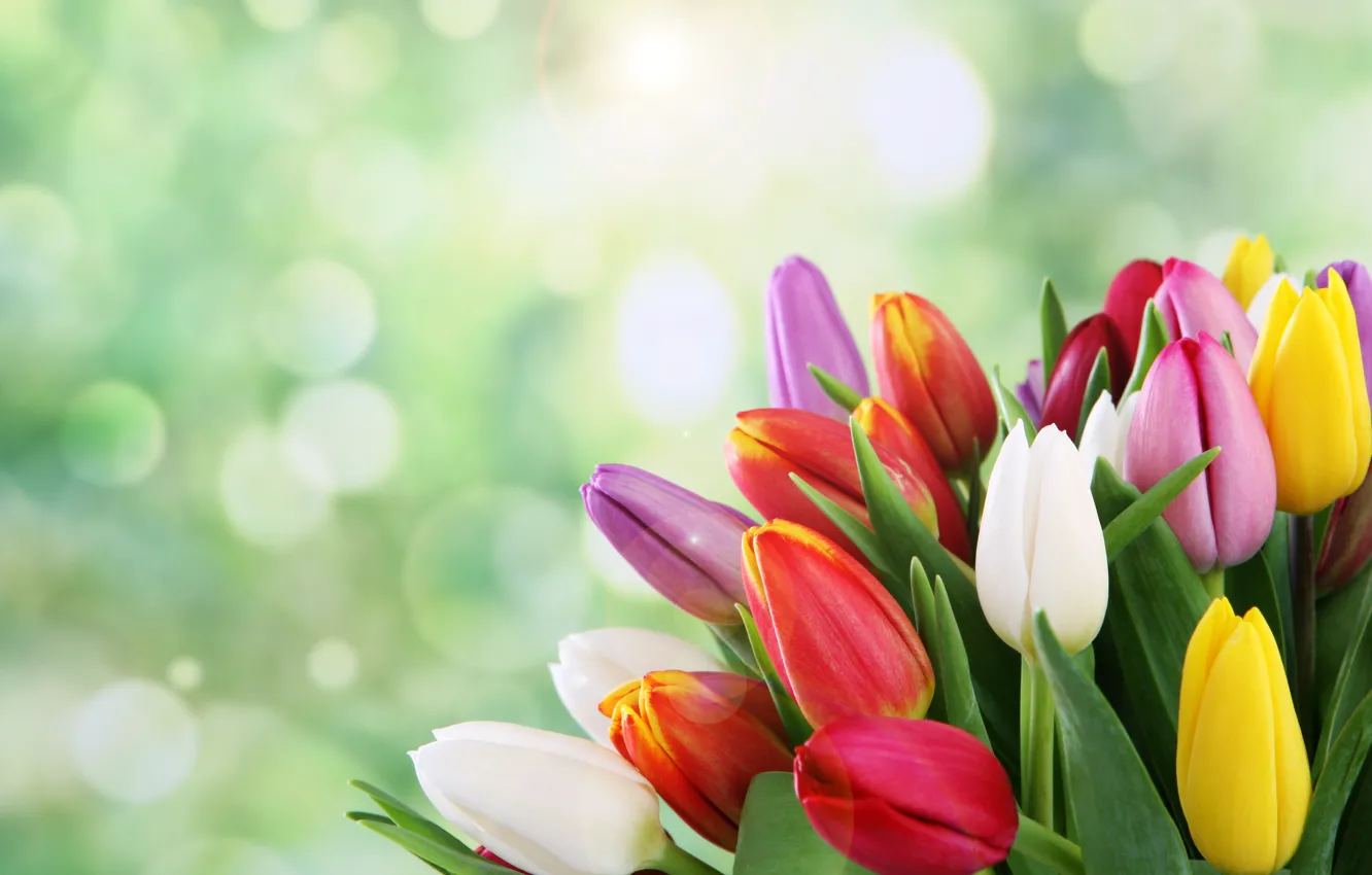 Photo wallpaper flowers, bouquet, spring, tulips, bokeh