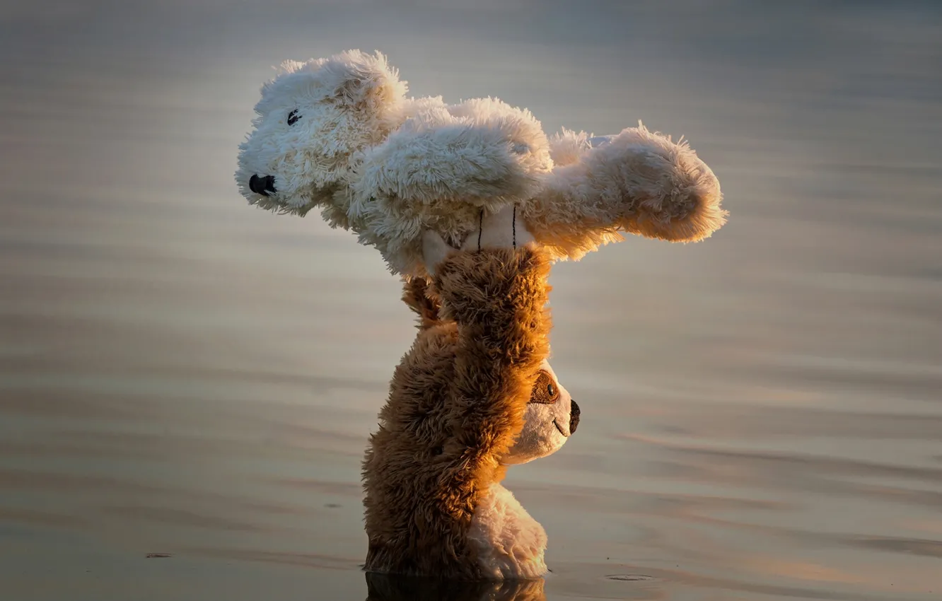 Photo wallpaper water, dance, the situation, bear, support, Teddy bears, Dirty Dancing