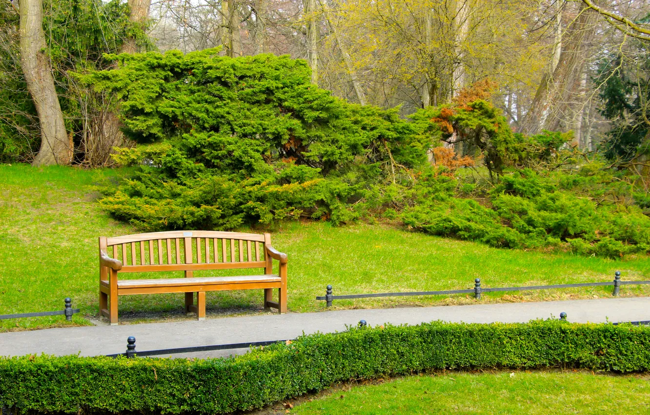 Photo wallpaper green, park, bench