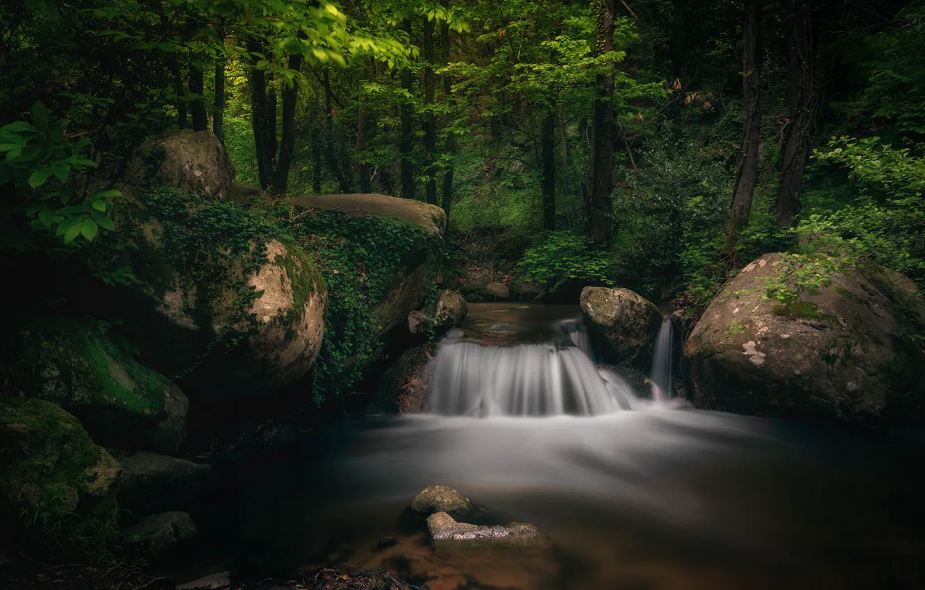 Photo wallpaper forest, stones, waterfall