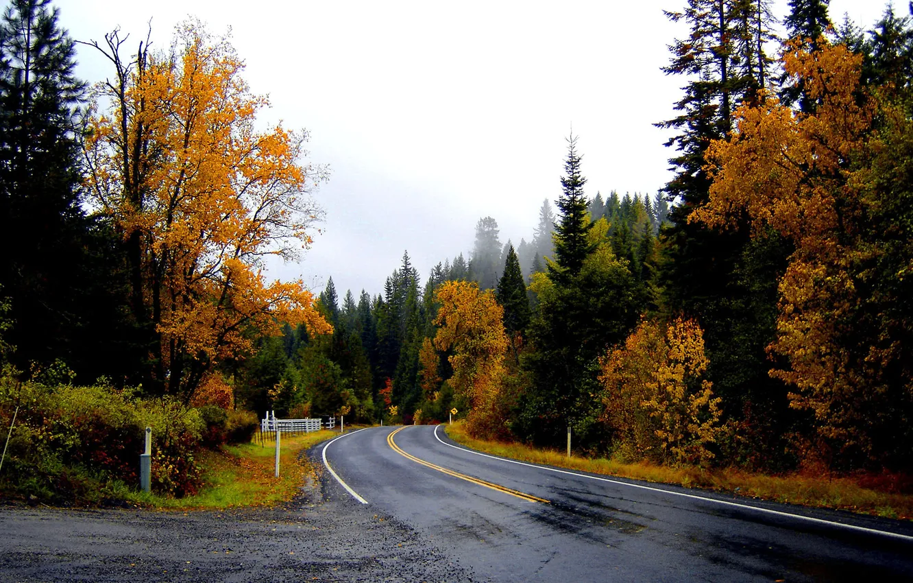 Photo wallpaper The sky, Nature, Road, Fog, Autumn, Trees, Forest, Leaves