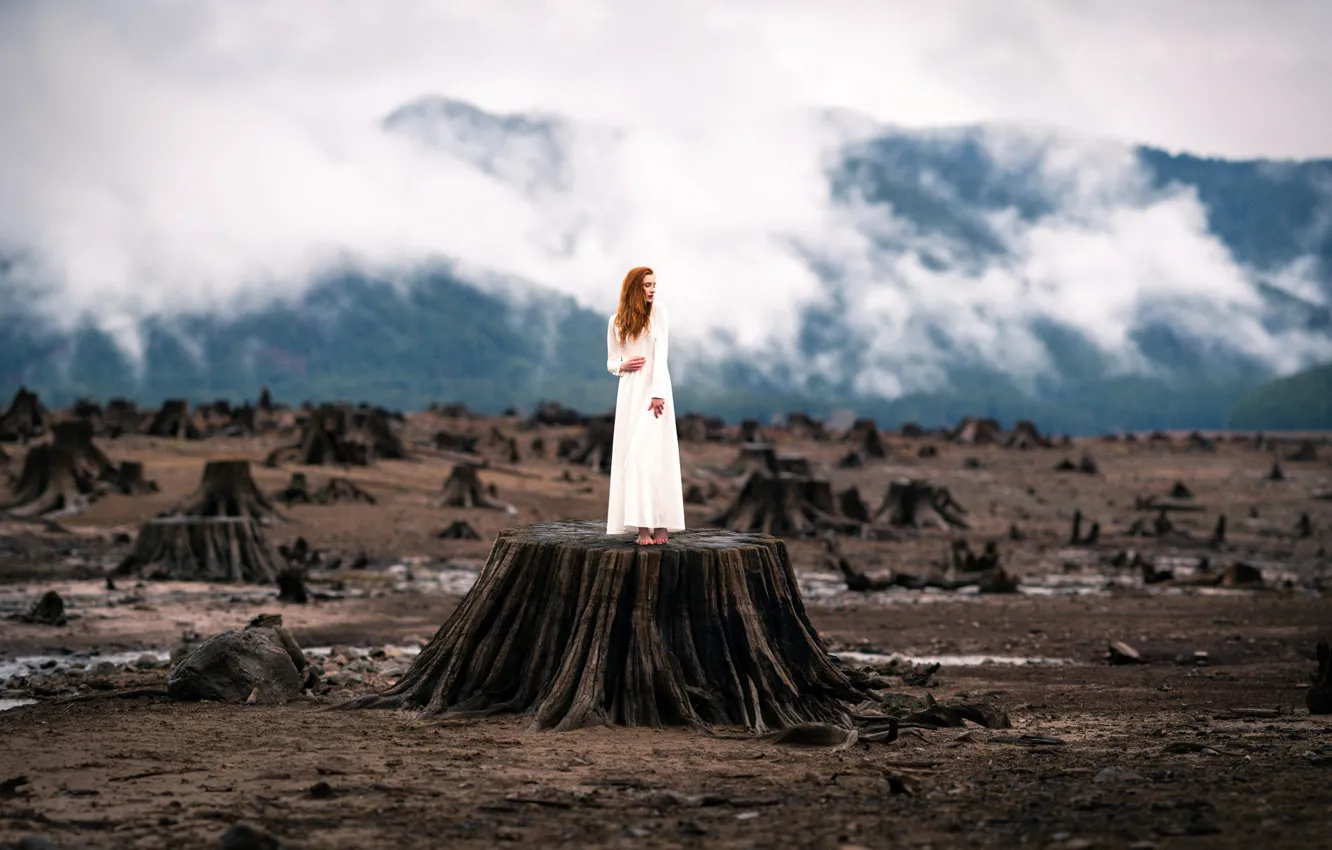 Photo wallpaper girl, stump, dress