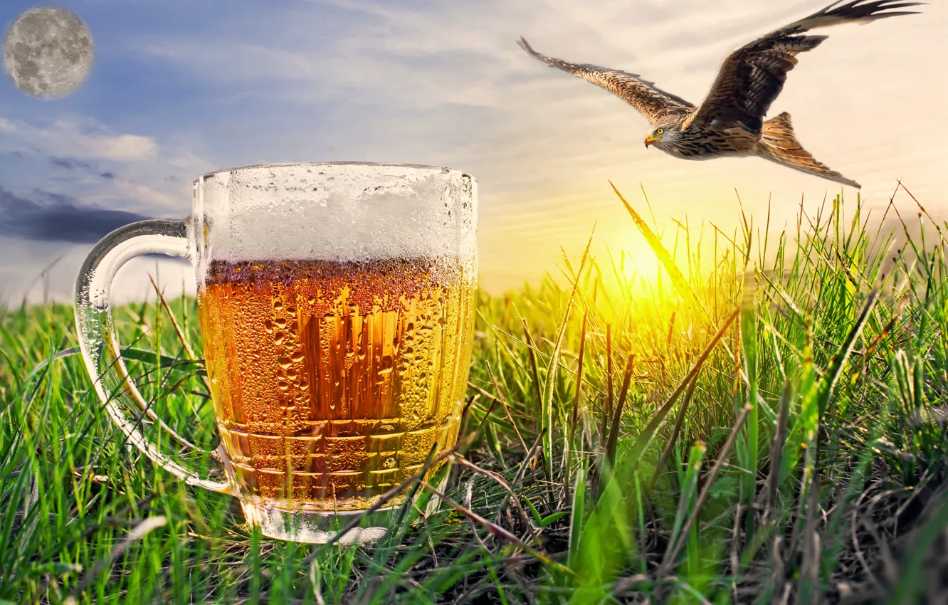 Photo wallpaper the sky, the steppe, eagle, photoshop, beer, good morning
