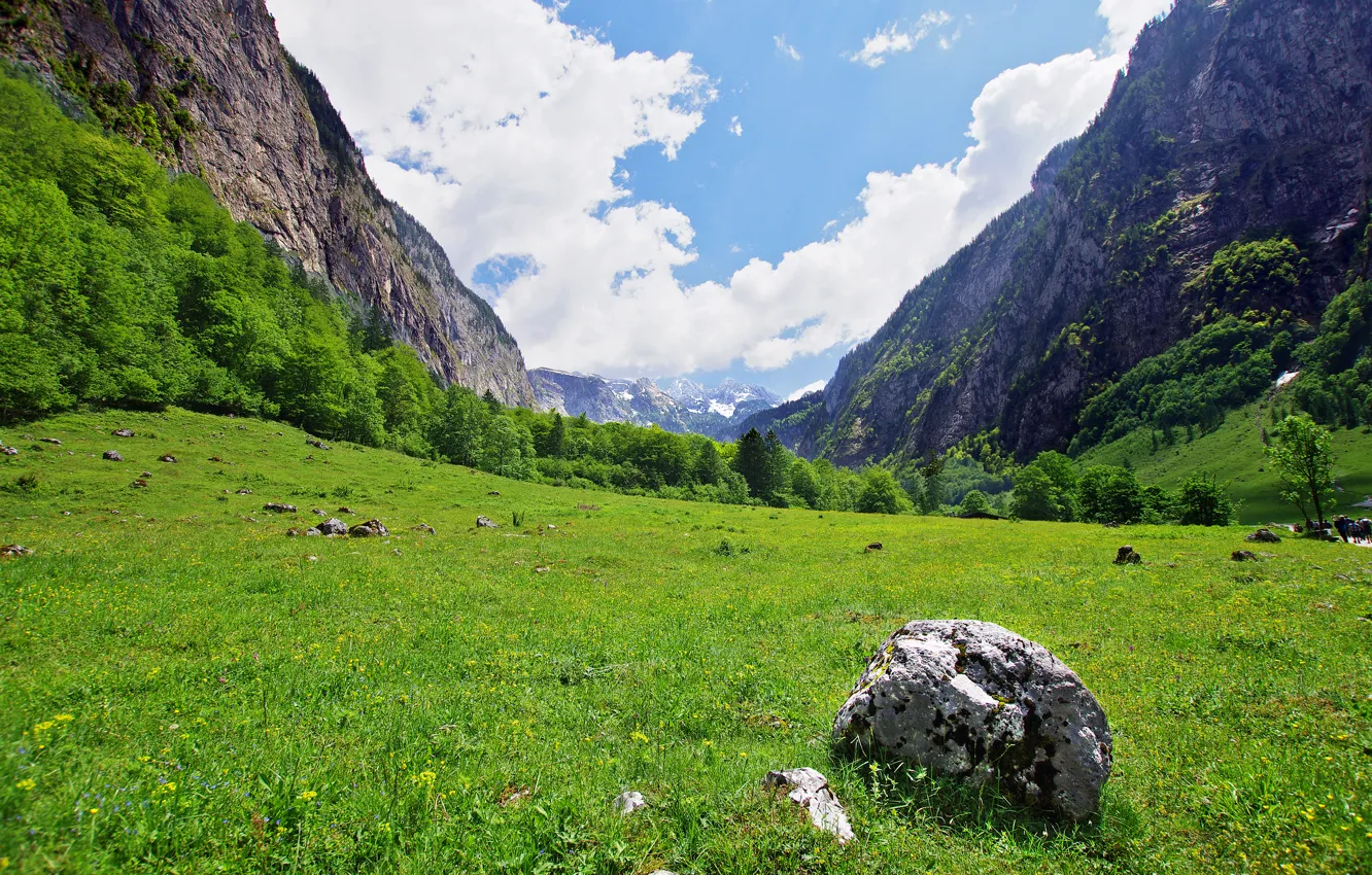 Photo wallpaper the sky, clouds, trees, mountains, stones
