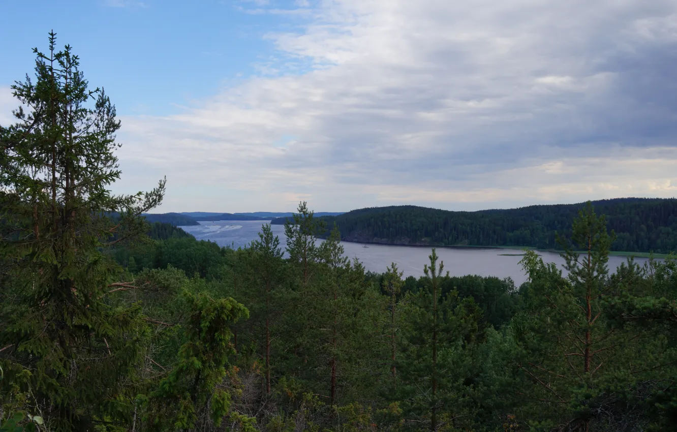 Photo wallpaper forest, the sky, nature, Karelia