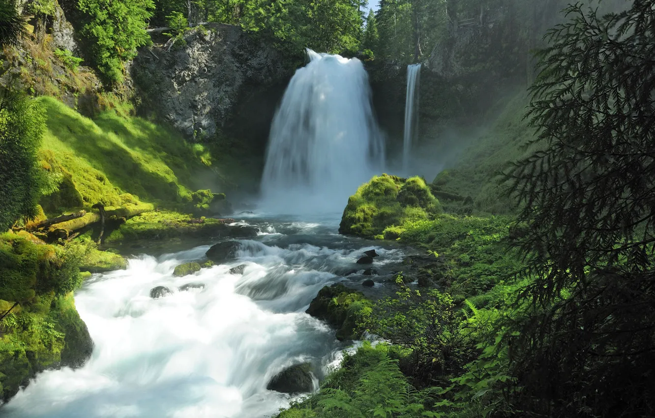 Photo wallpaper forest, summer, water, nature, stones, waterfall