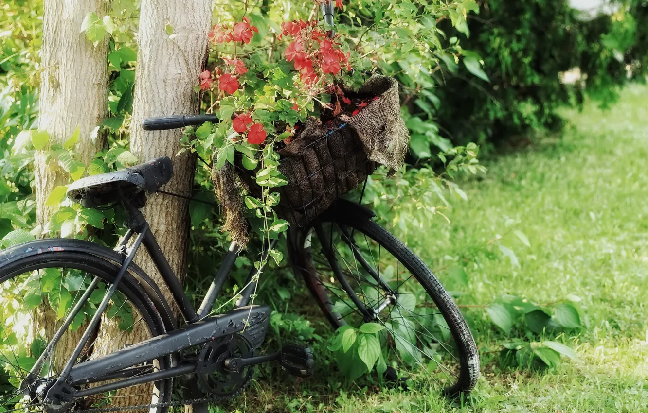 Photo wallpaper summer, flowers, bike