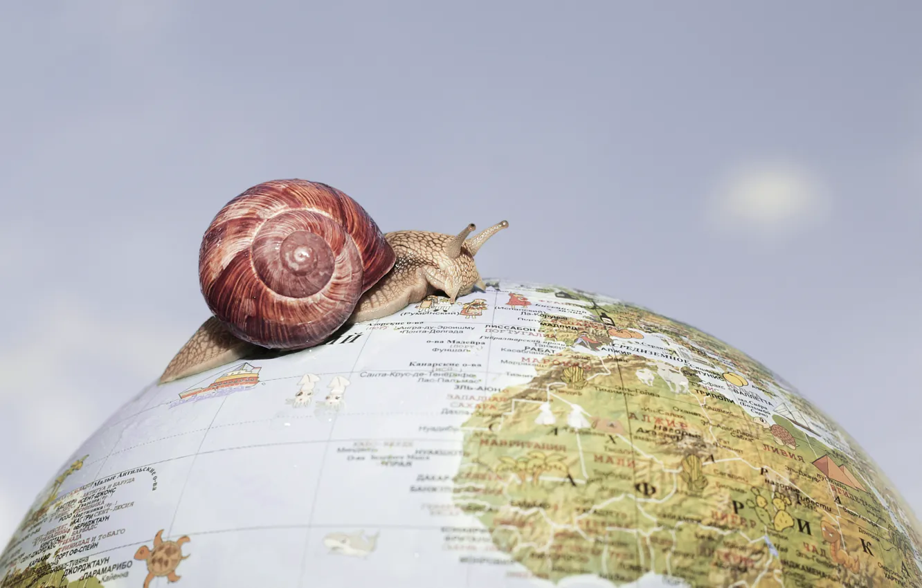 Photo wallpaper background, snail, globe