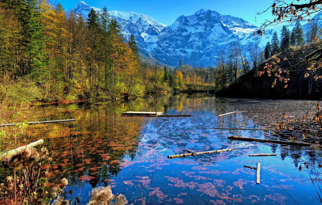 Photo wallpaper autumn, forest, snow, trees, mountains, lake, Austria, The Salzkammergut
