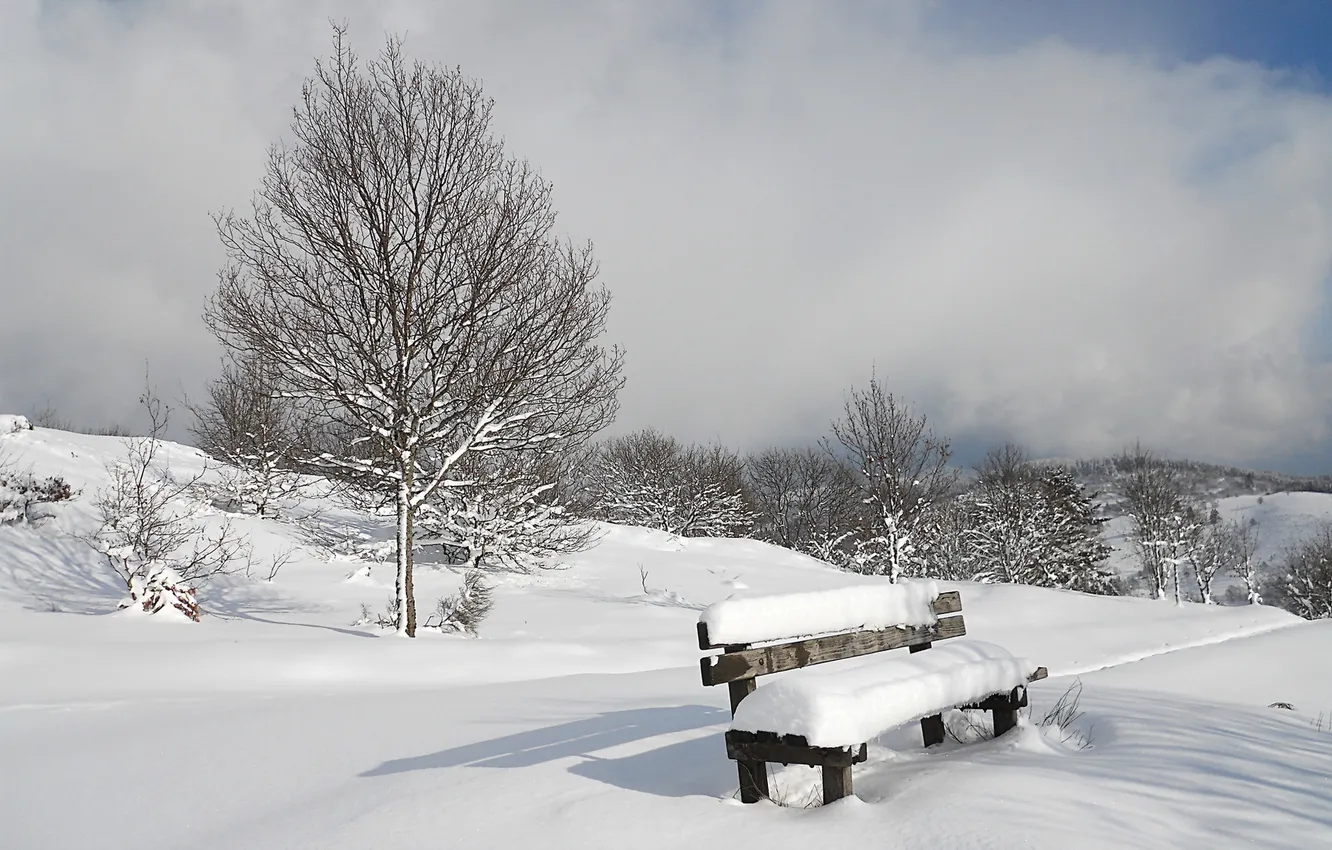 Photo wallpaper winter, snow, bench