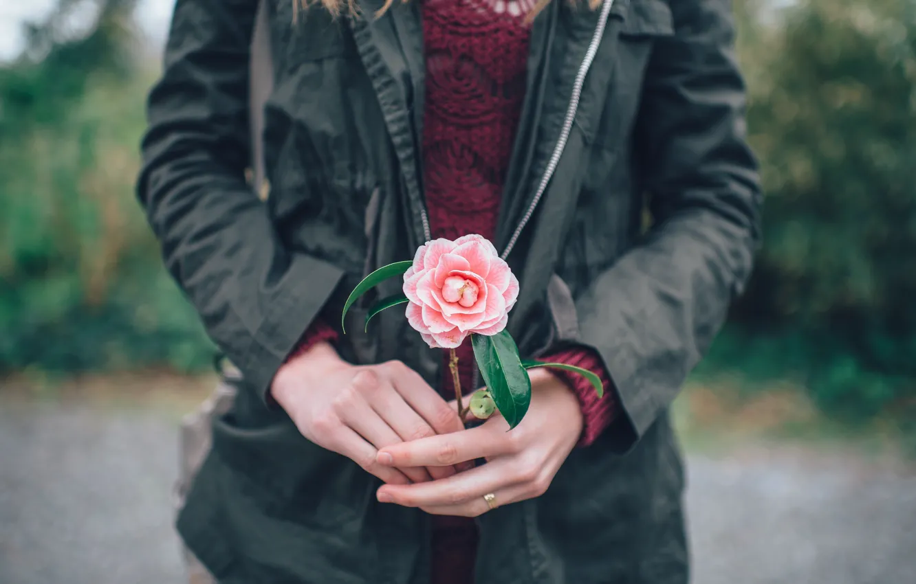 Photo wallpaper flowers, hands, pink petals